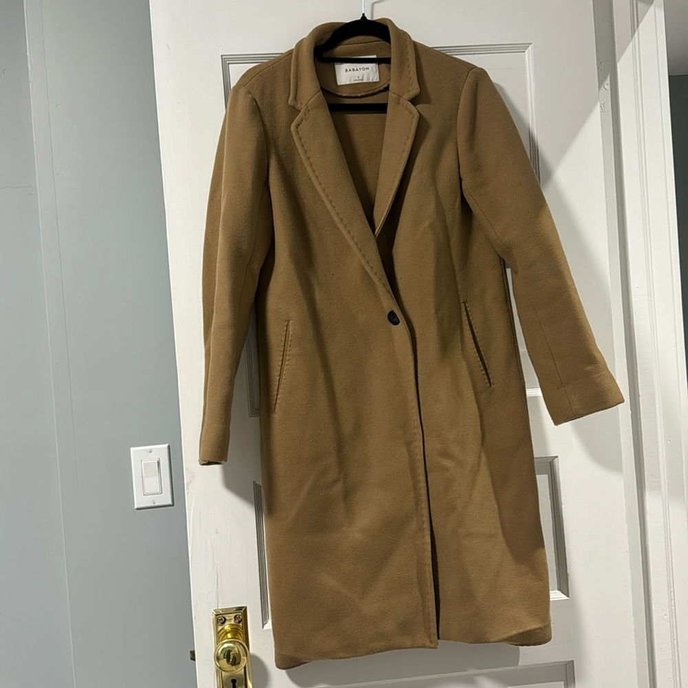 Aritzia Babaton Steadman Coat